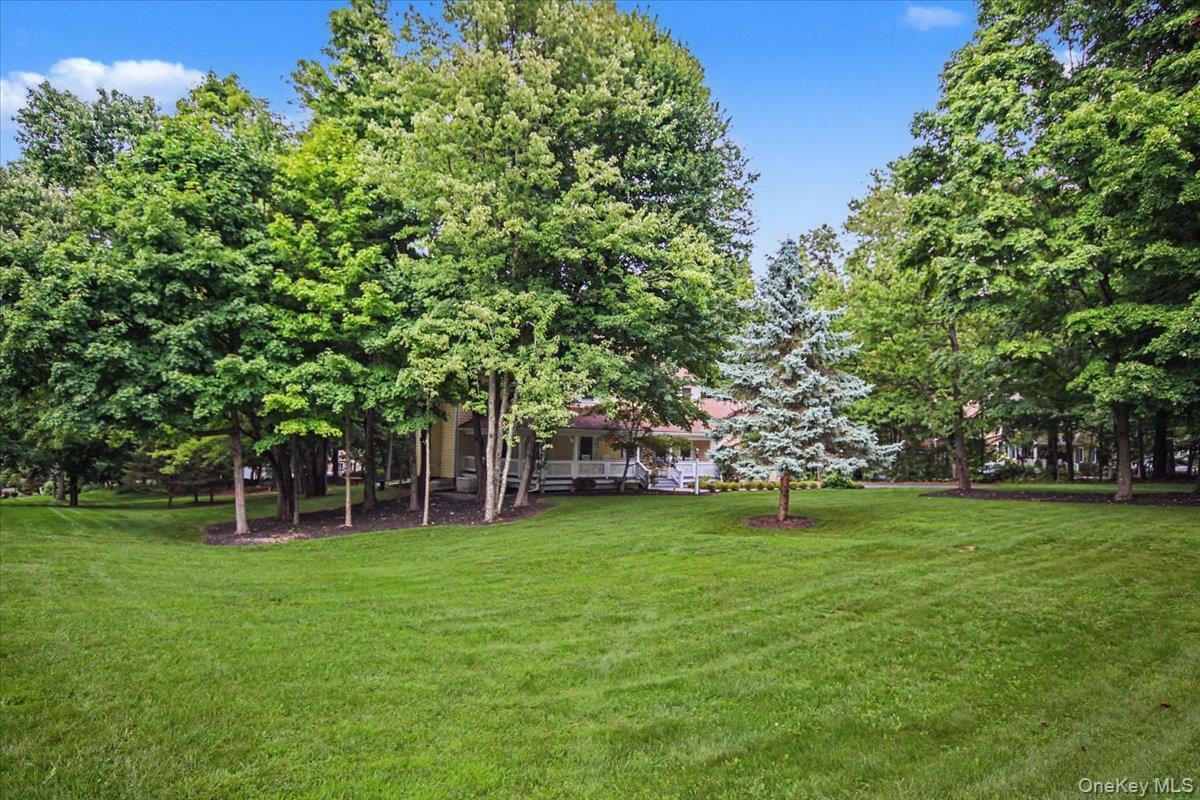 Single Family Harden Drive  Dutchess County, NY 12540, MLS-1046205-47
