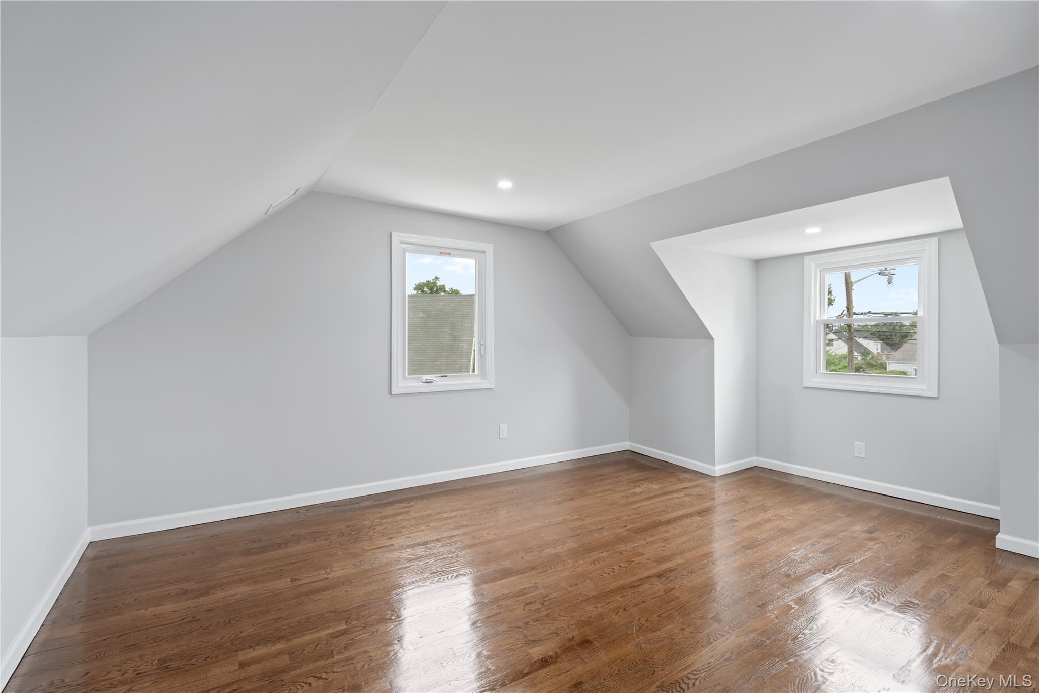 Single Family Cliff Avenue Nassau County, NY 11550, MLS-1046223-23