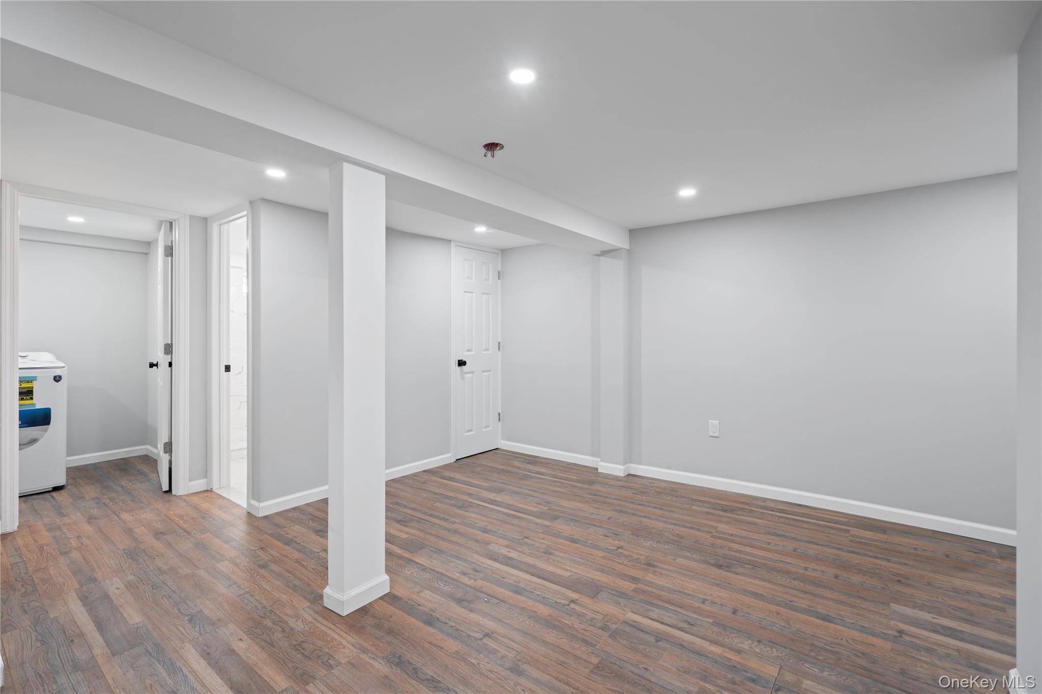 Single Family Cliff Avenue Nassau County, NY 11550, MLS-1046223-28