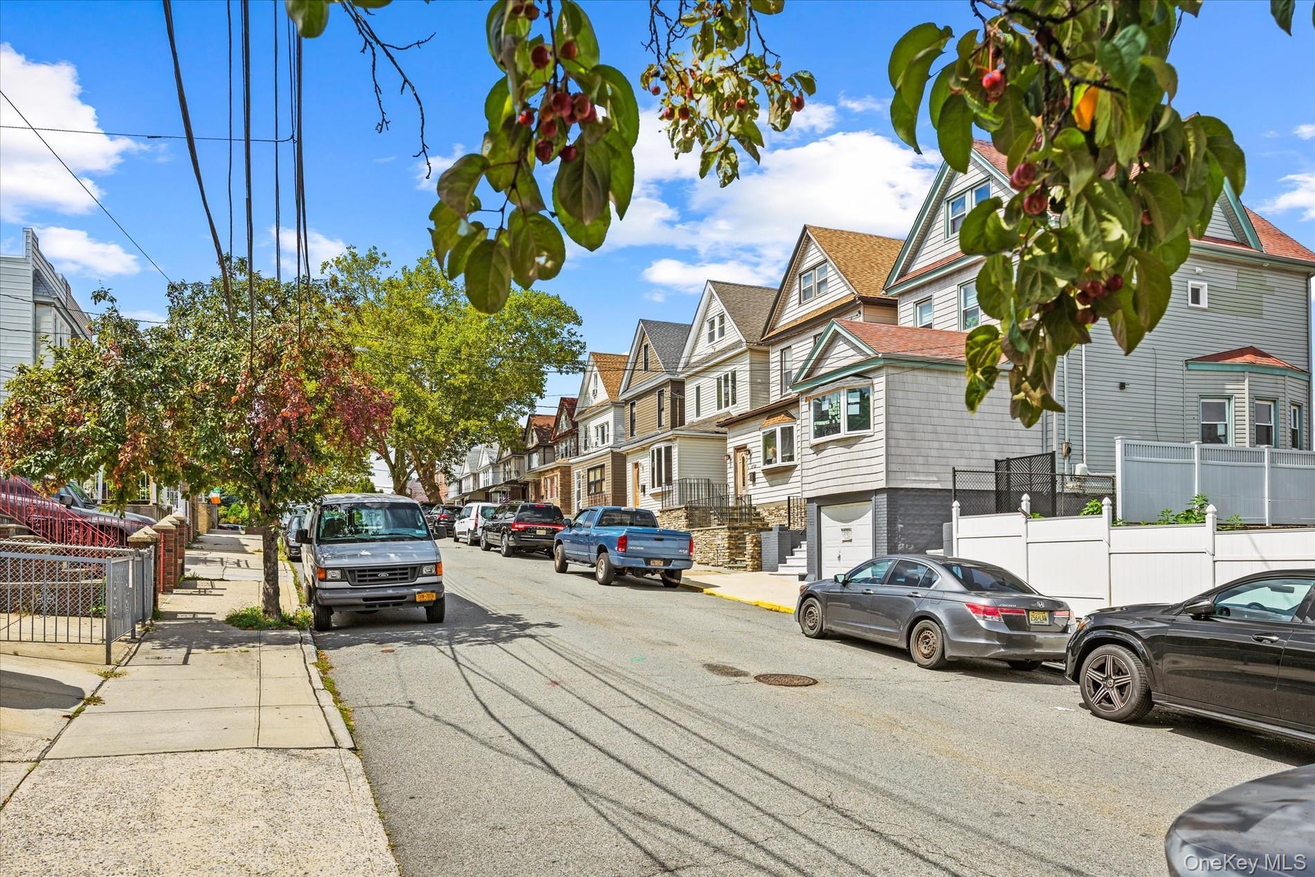 Single Family 52nd Road  Queens, NY 11378, MLS-1046289-2