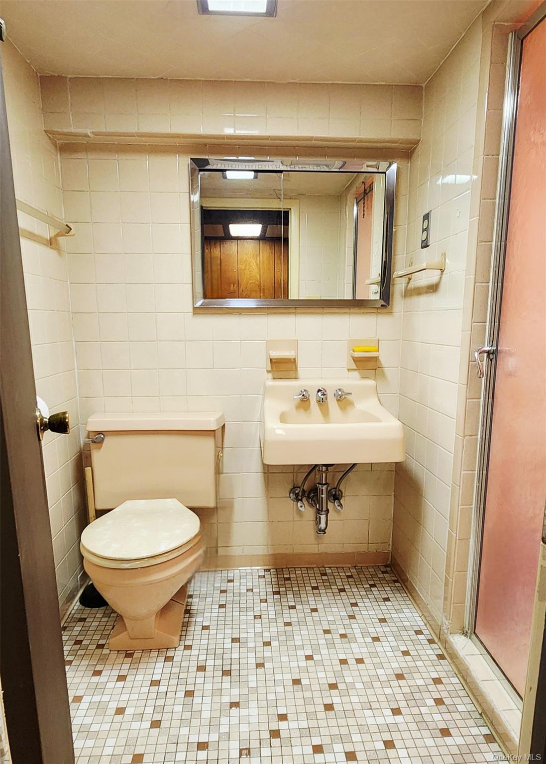 Single Family 64th Street Queens, NY 11385, MLS-1046293-15