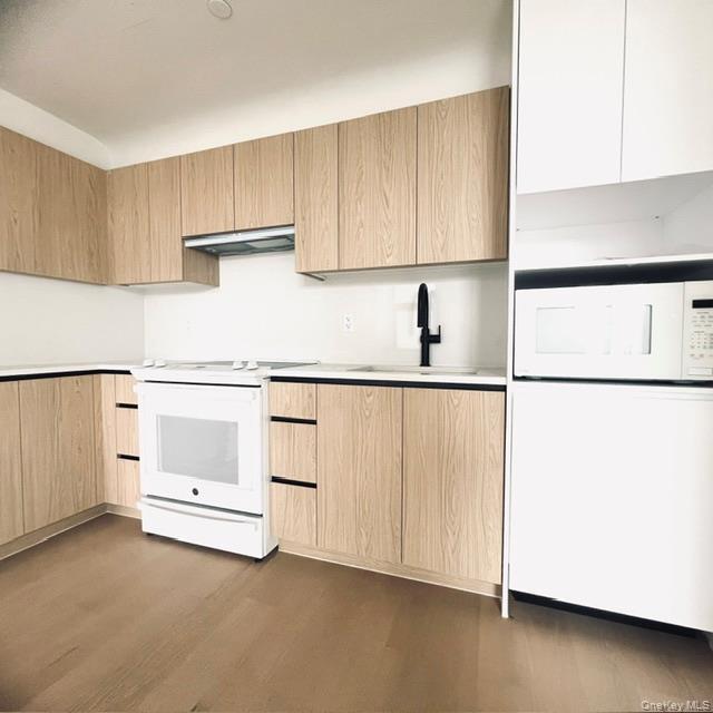 Apartment 66th Street  Brooklyn, NY 11204, MLS-1046484-3