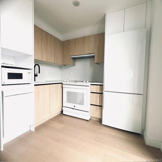Apartment 66th Street Brooklyn, NY 11204, MLS-1046490-2