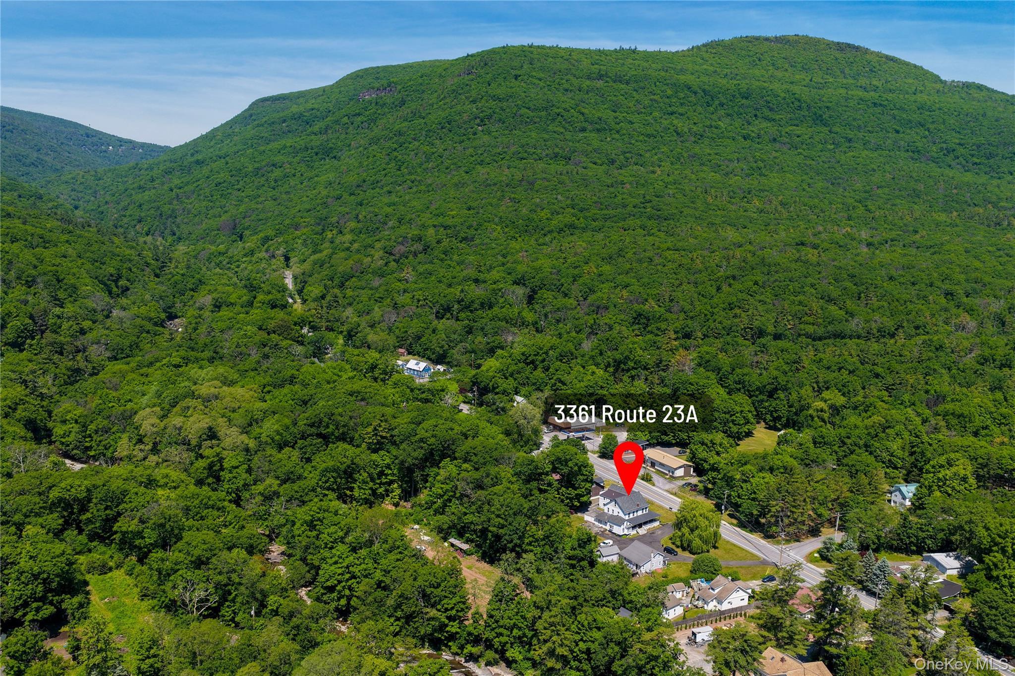 Single Family Rt-23a Greene County, NY 12414, MLS-1046500-49