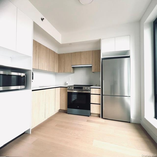 Apartment 66th Street Brooklyn, NY 11204, MLS-1046504-2