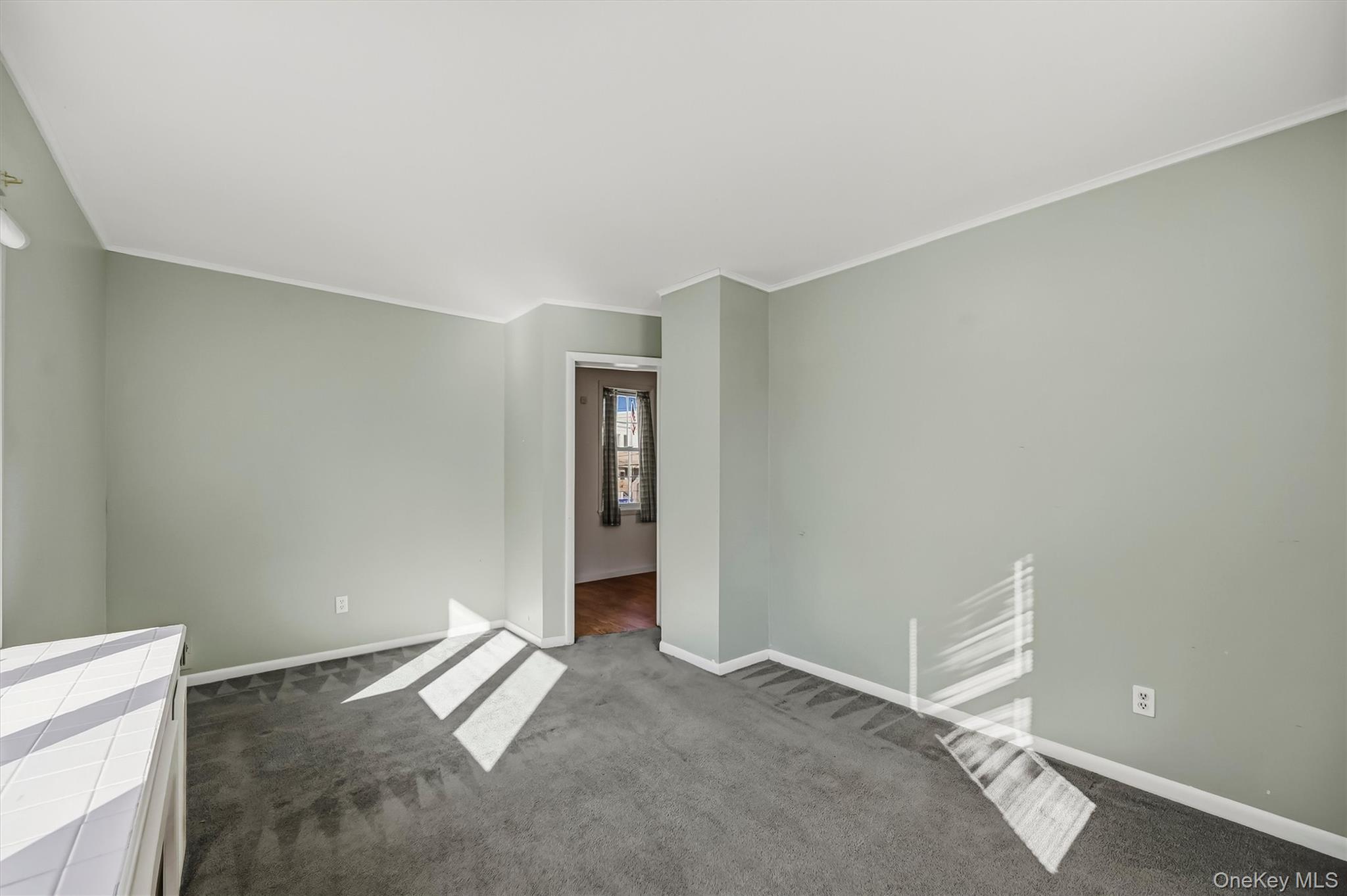 Single Family E Main Street Orange County, NY 12771, MLS-1046521-19