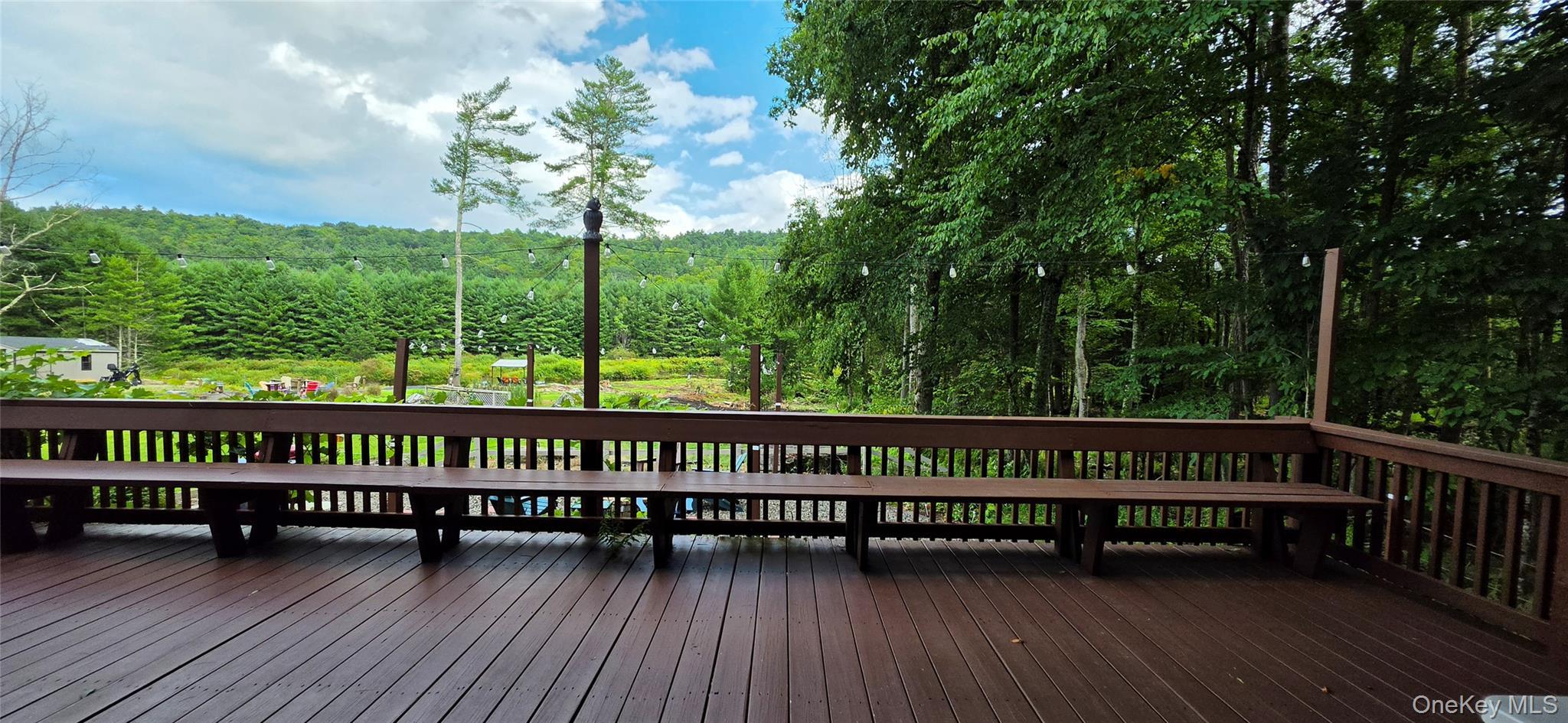 Single Family Lake Shore Lane  Sullivan County, NY 12764, MLS-1046536-20