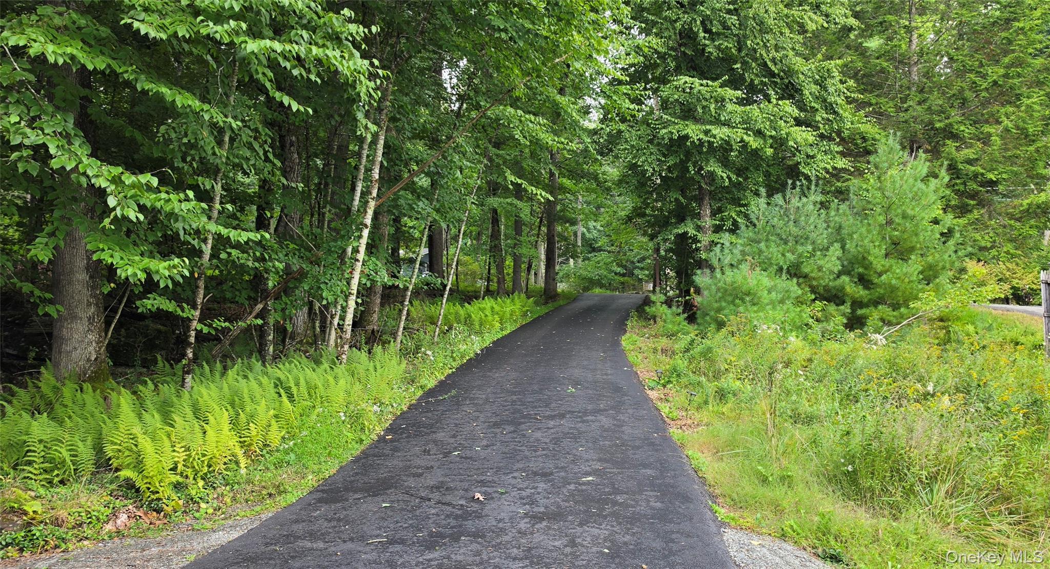 Single Family Lake Shore Lane  Sullivan County, NY 12764, MLS-1046536-26