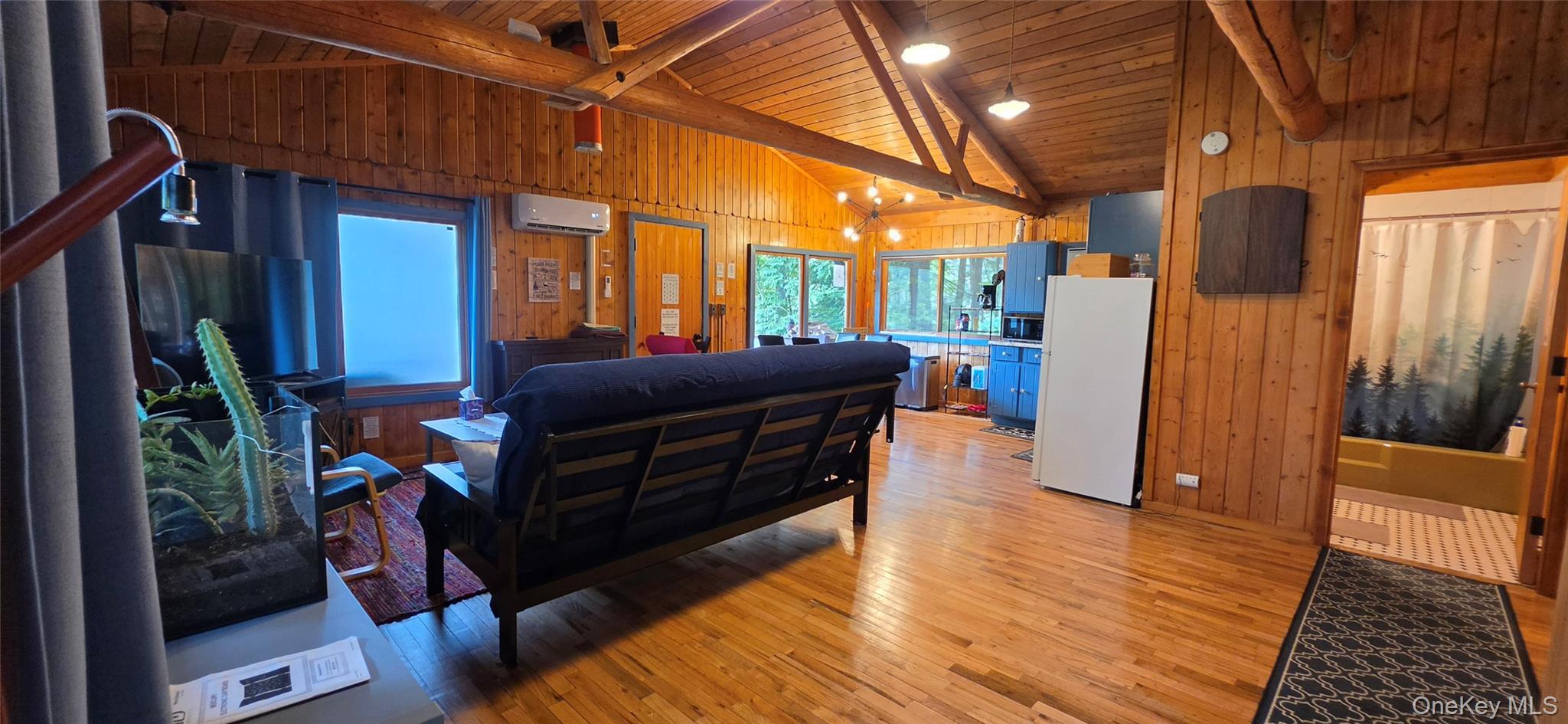 Single Family Lake Shore Lane  Sullivan County, NY 12764, MLS-1046536-4