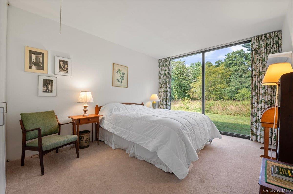 Single Family Duck Pond Road Nassau County, NY 11560, MLS-1046678-30