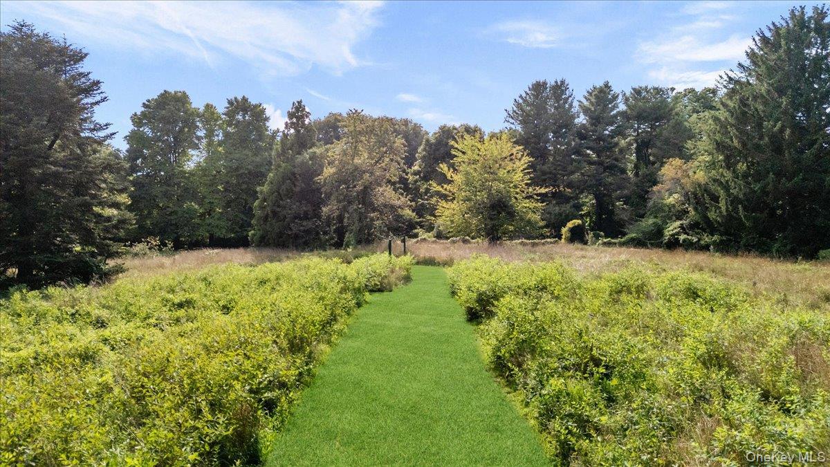 Single Family Duck Pond Road Nassau County, NY 11560, MLS-1046678-45
