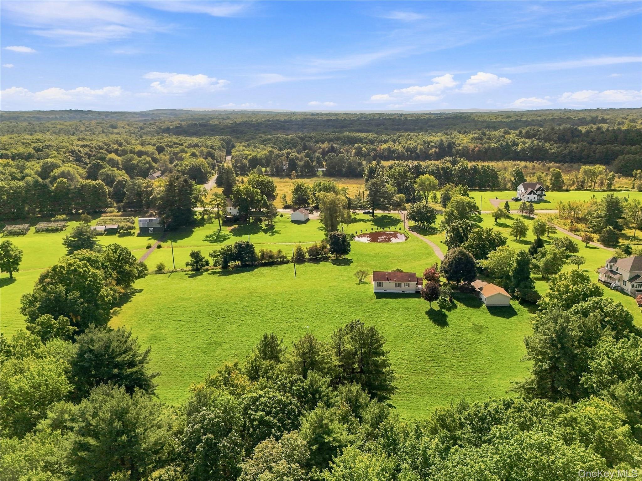 Single Family Howells Turnpike  Orange County, NY 10940, MLS-1046716-28