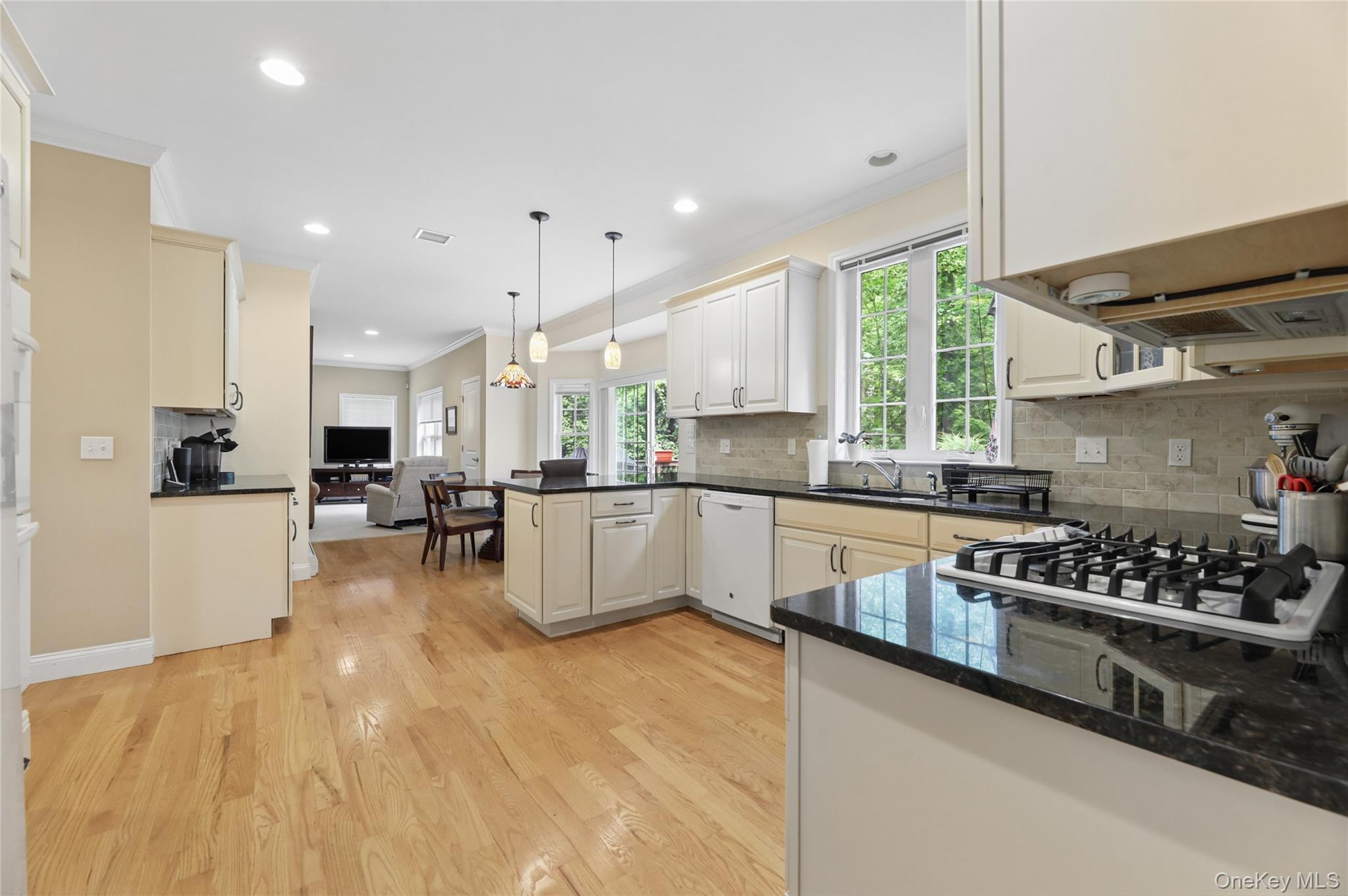 Single Family N Little Tor Road  Rockland County, NY 10956, MLS-1046810-13