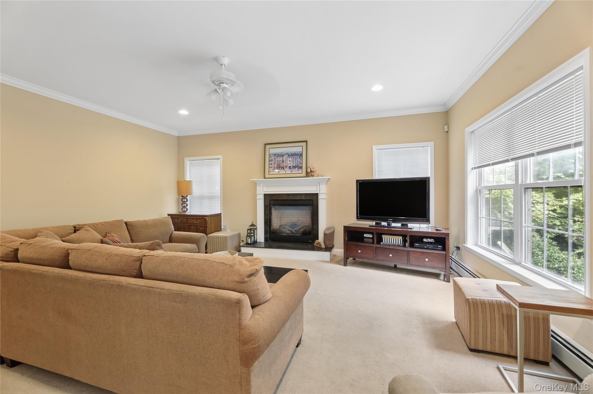 Single Family N Little Tor Road  Rockland County, NY 10956, MLS-1046810-19