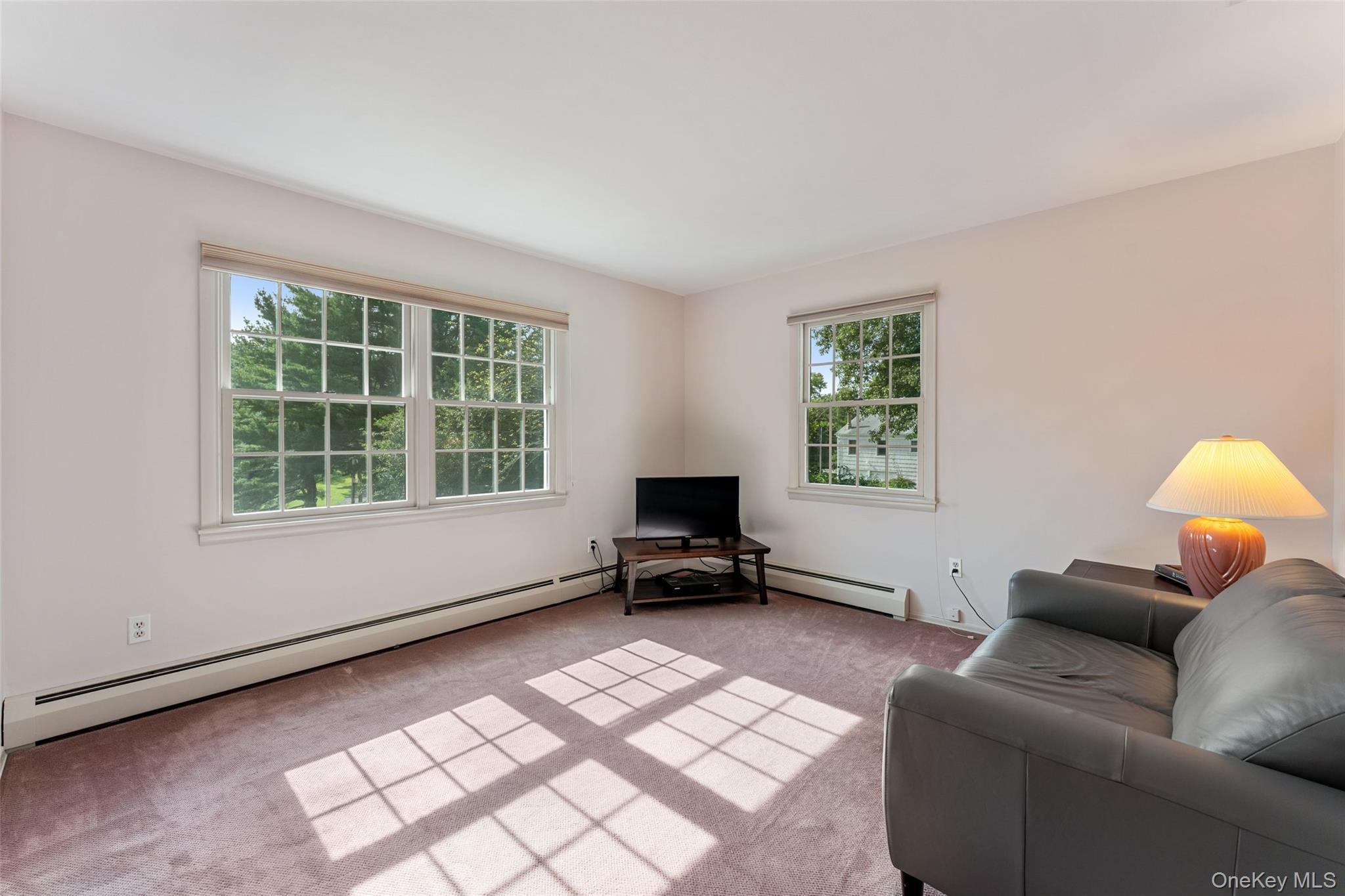 Single Family Lyons Road Westchester County, NY 10504, MLS-1046812-15