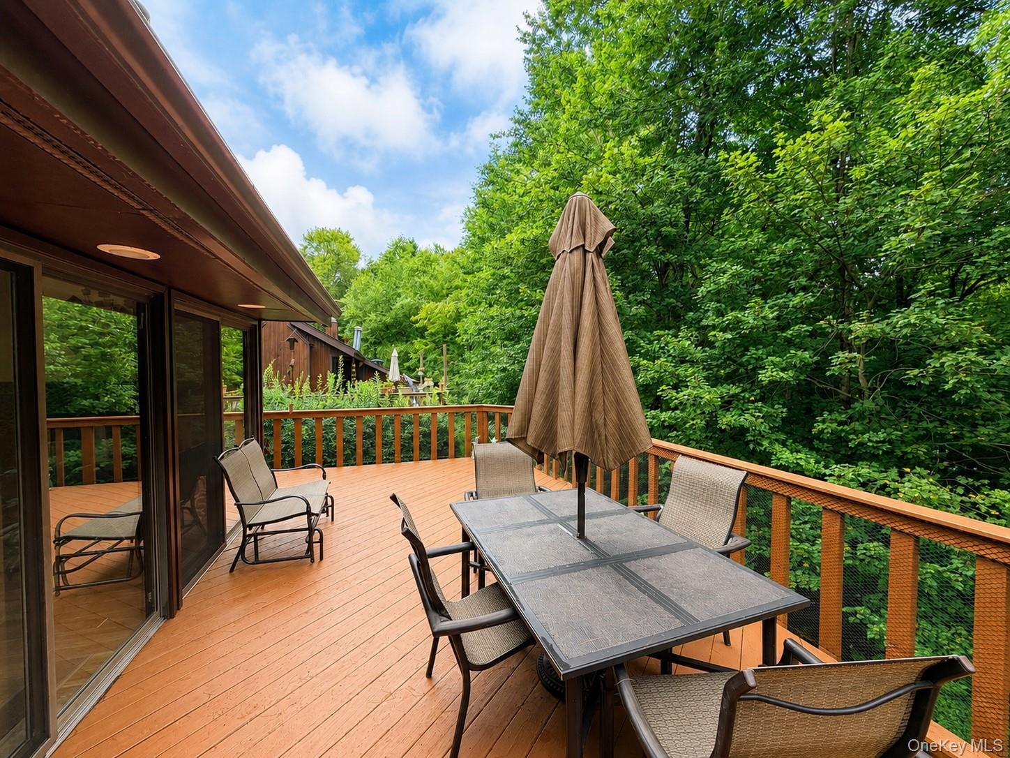 Single Family Water Lilly Lane Sullivan County, NY 12701, MLS-1046848-17
