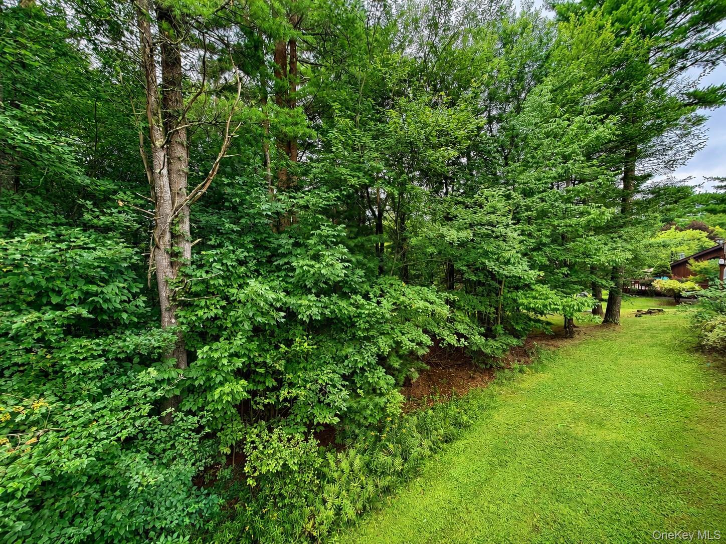 Single Family Water Lilly Lane Sullivan County, NY 12701, MLS-1046848-21