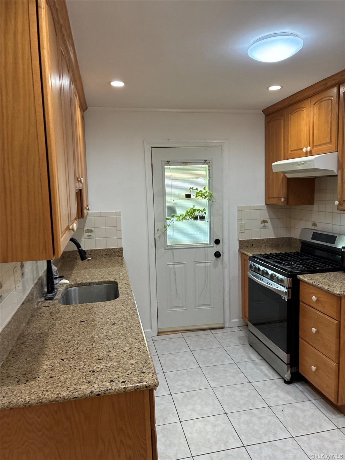 Single Family Times Avenue  Nassau County, NY 11003, MLS-1046849-5