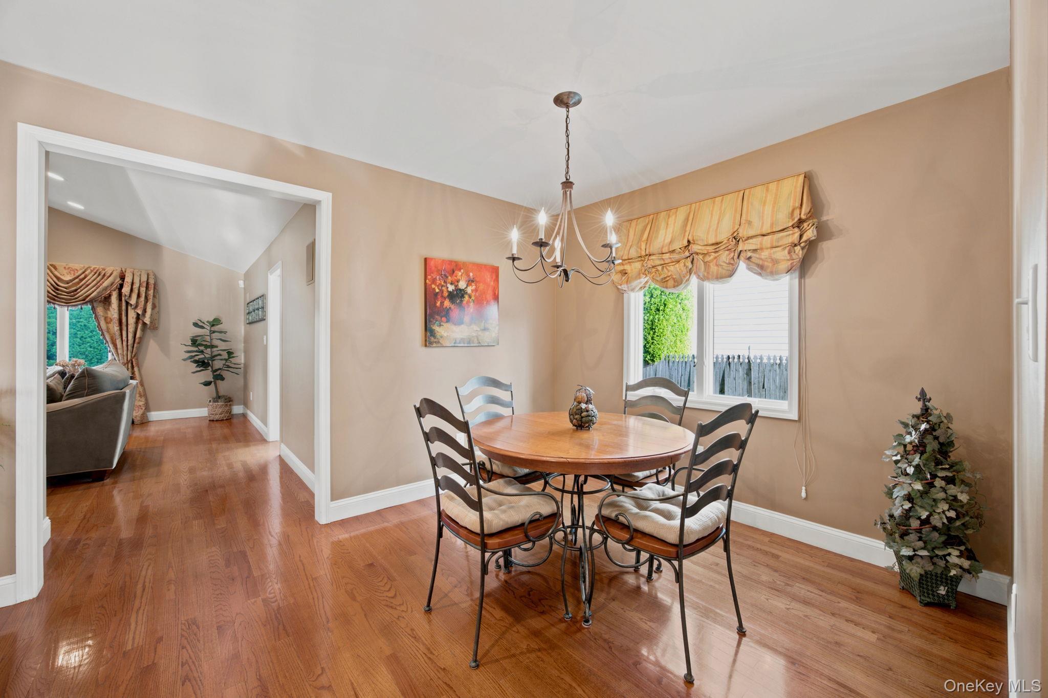 Single Family Celler Avenue Nassau County, NY 11040, MLS-1046862-14