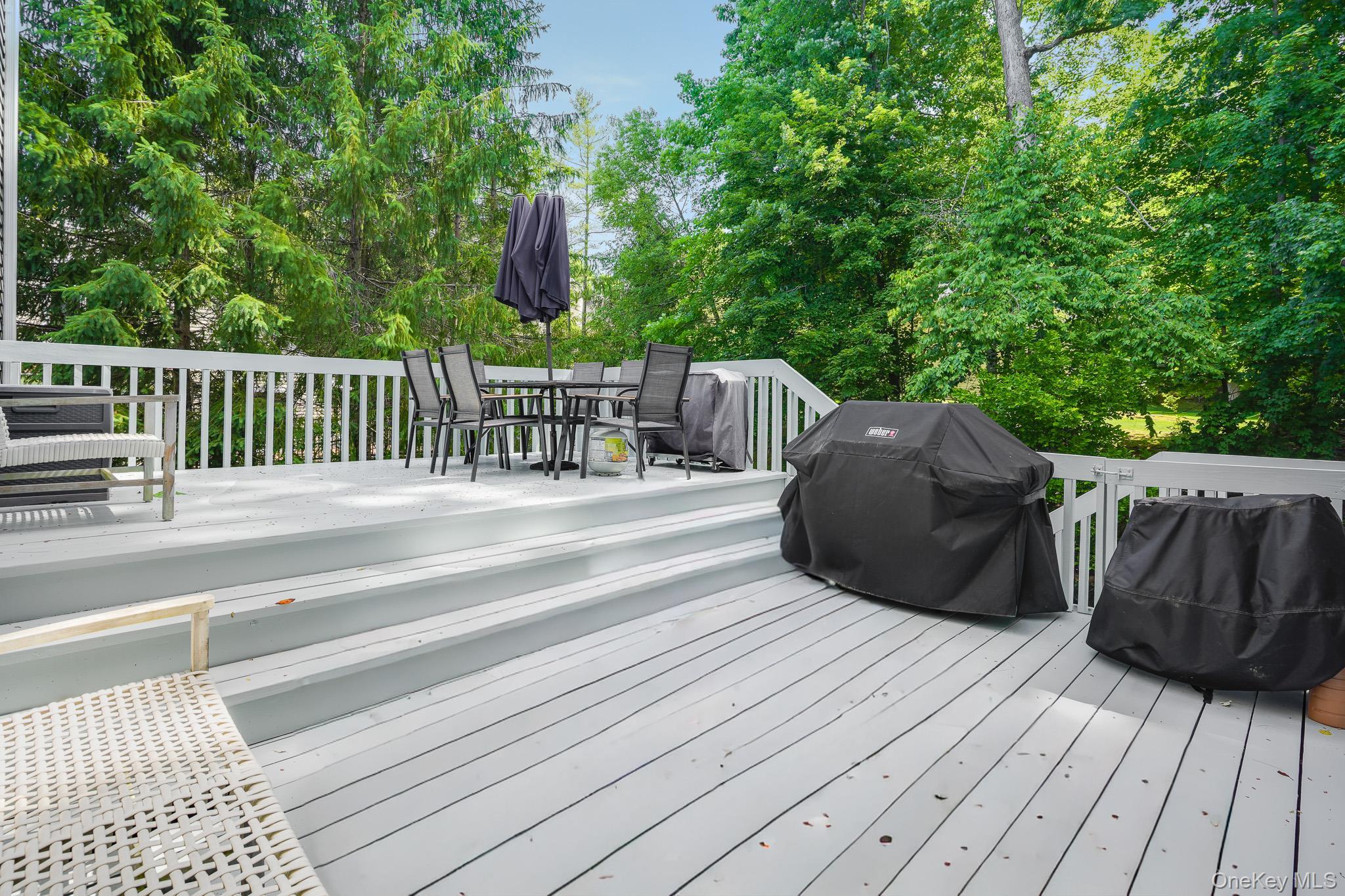 Single Family Lewiston Court Westchester County, NY 10510, MLS-1046925-34