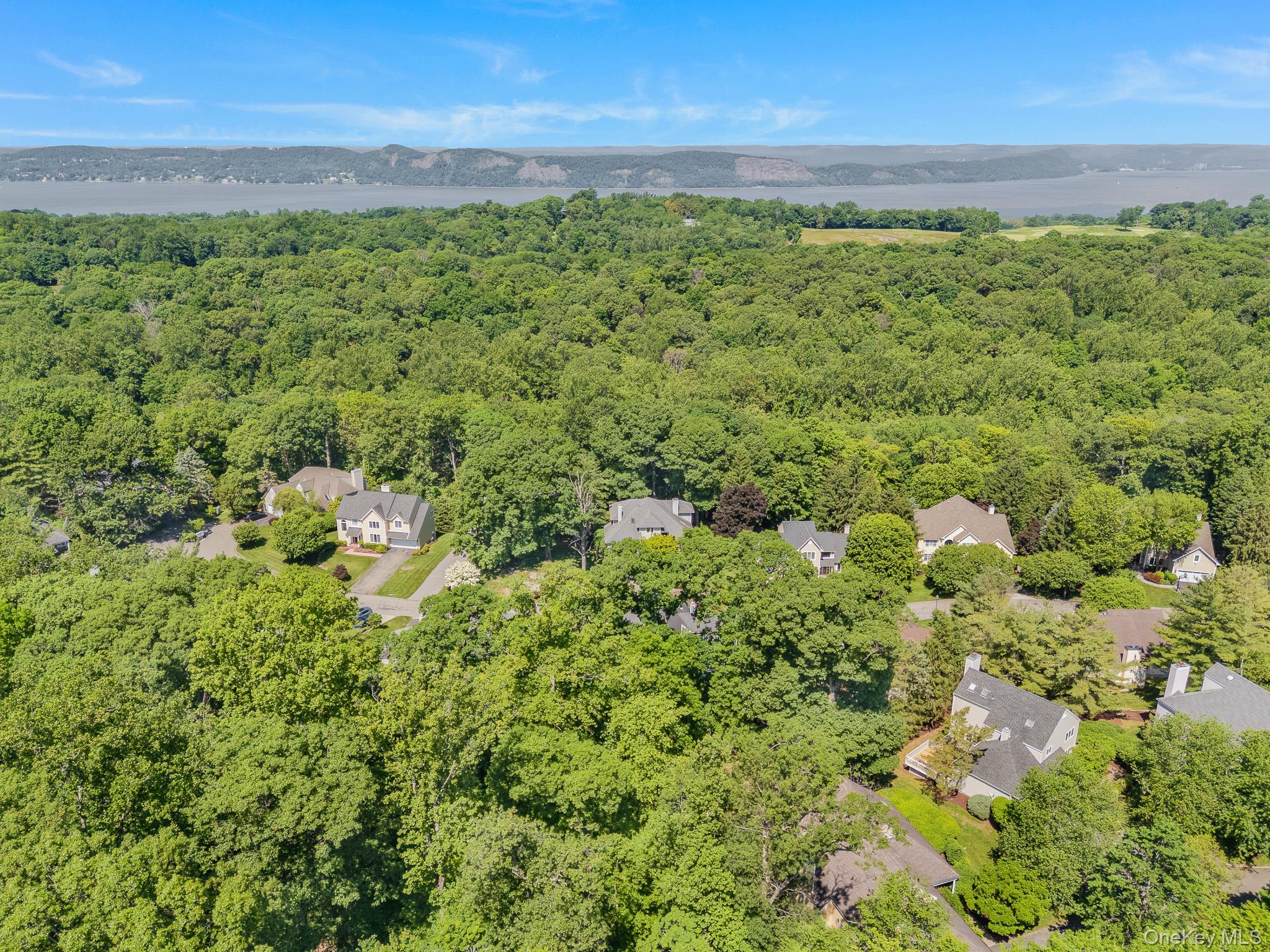 Single Family Lewiston Court Westchester County, NY 10510, MLS-1046925-36