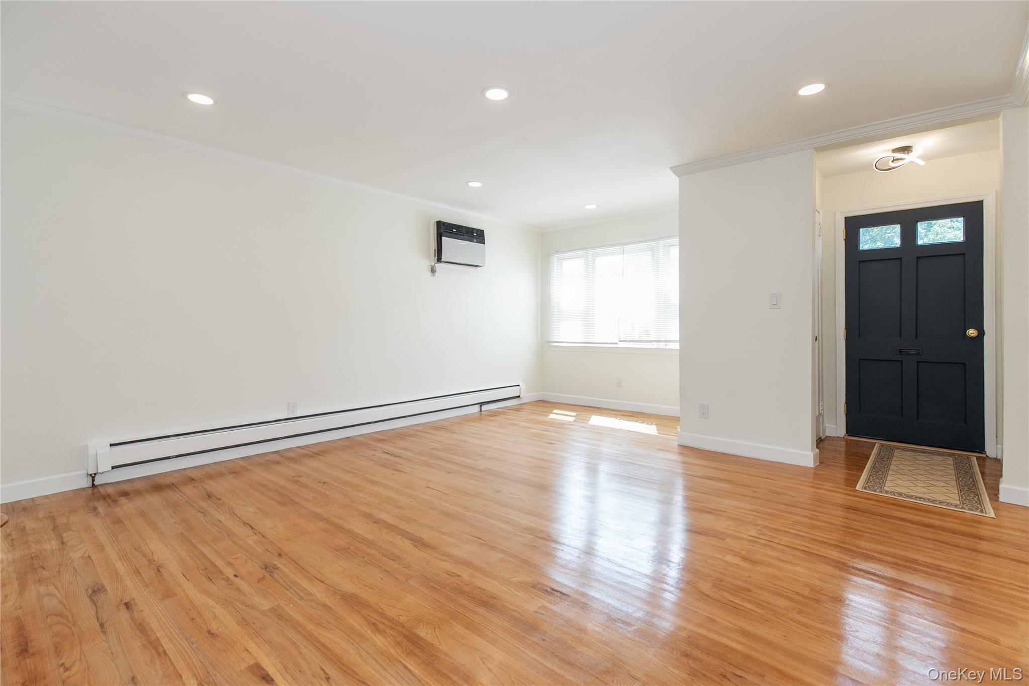 Single Family 7th Avenue Nassau County, NY 11040, MLS-1046926-3