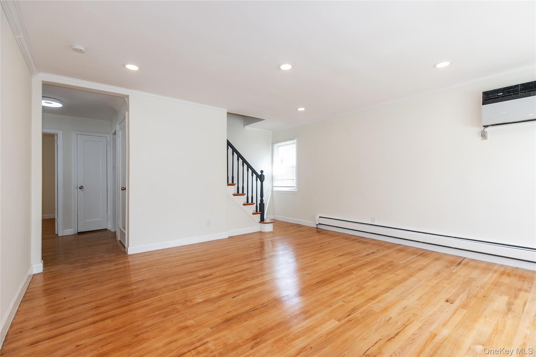 Single Family 7th Avenue Nassau County, NY 11040, MLS-1046926-5