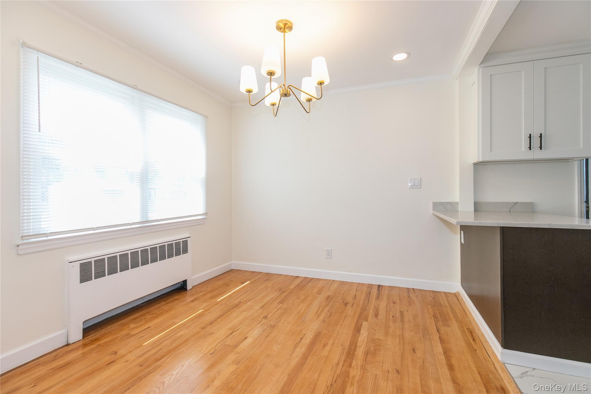 Single Family 7th Avenue Nassau County, NY 11040, MLS-1046926-9