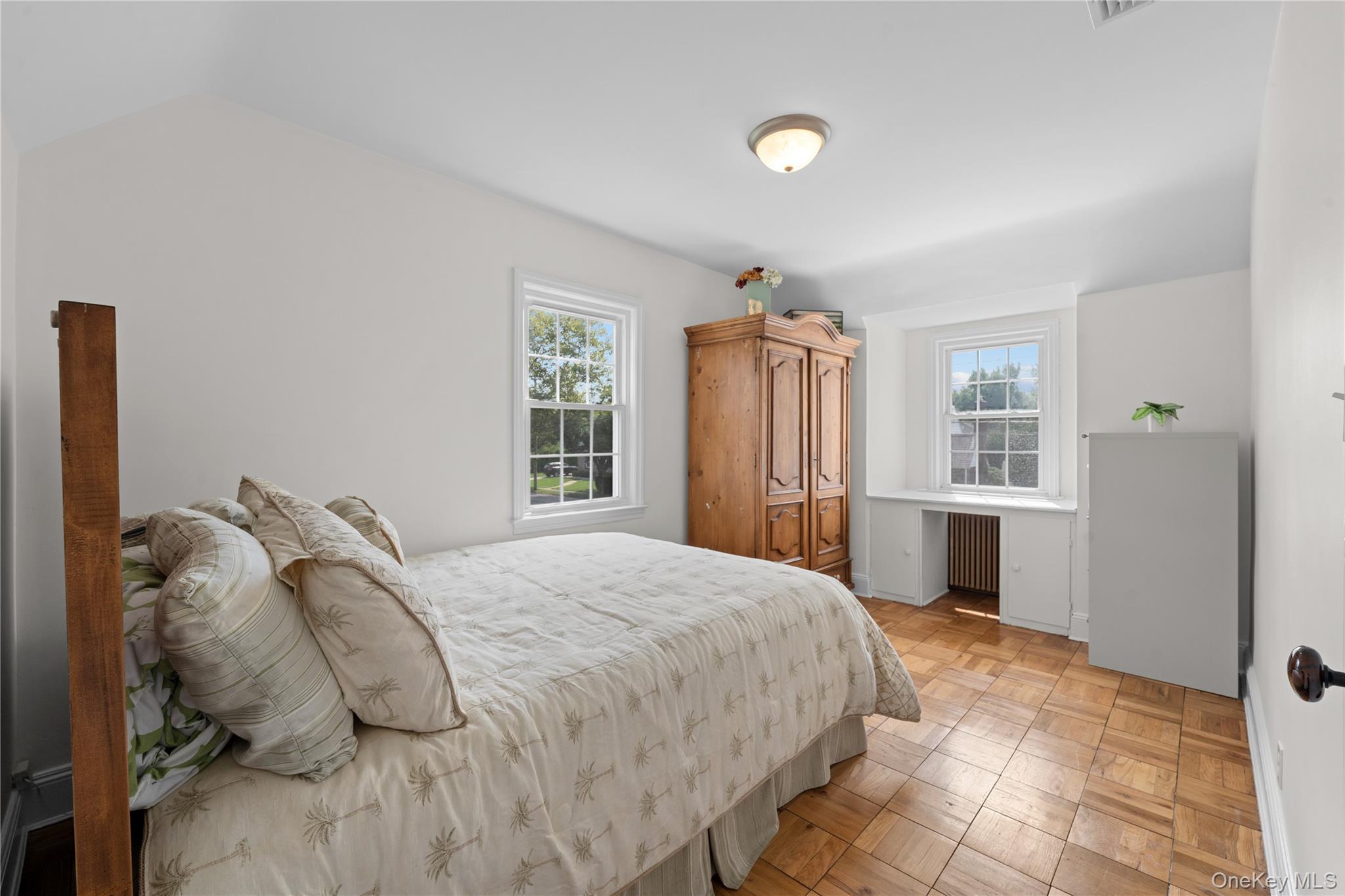 Single Family Ogden Avenue Nassau County, NY 11596, MLS-1046977-23