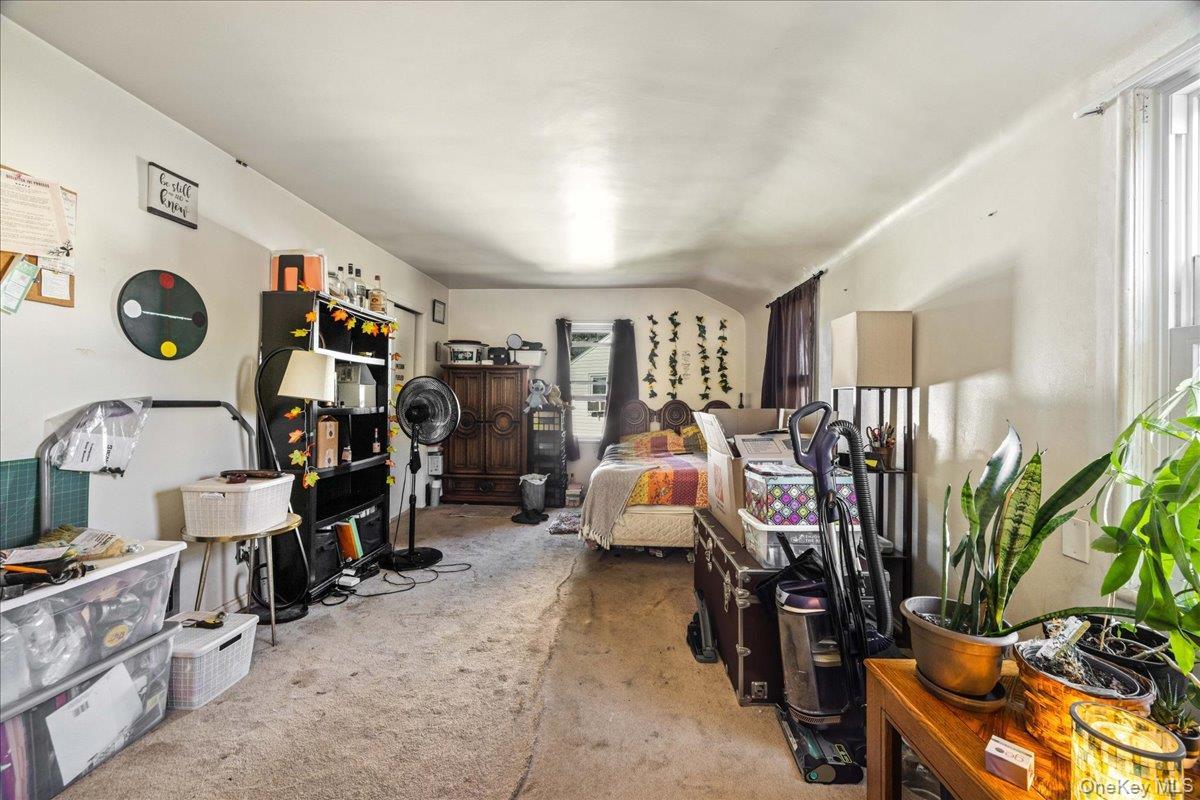 Single Family Nassau Street Nassau County, NY 11003, MLS-1046993-17