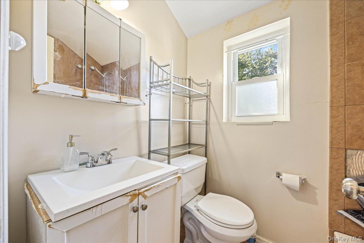 Single Family Nassau Street Nassau County, NY 11003, MLS-1046993-21