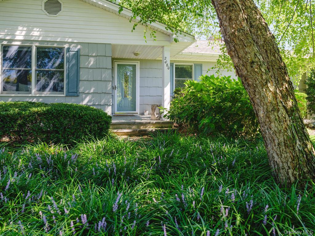 Single Family Elijahs Lane  Suffolk County, NY 11952, MLS-1047144-26