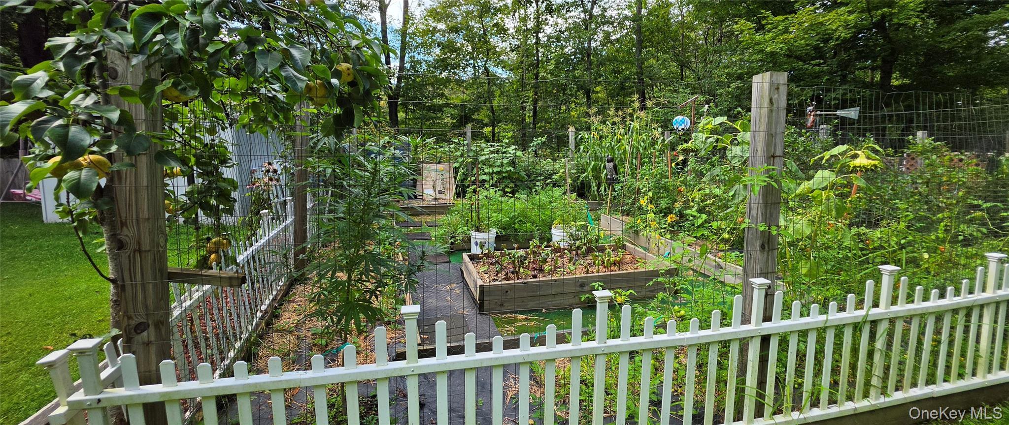 Single Family Gabriel Road  Sullivan County, NY 12726, MLS-1047180-25