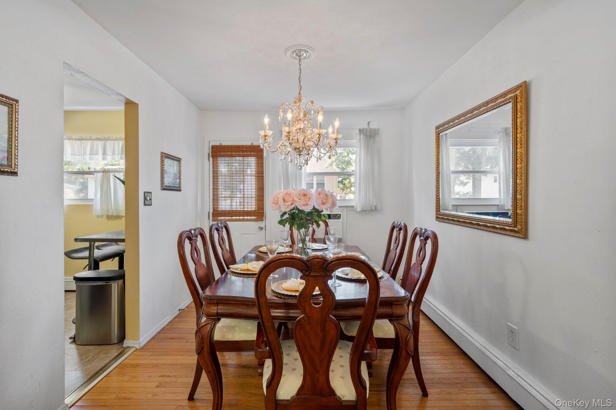 Single Family Brooklyn Avenue Nassau County, NY 11575, MLS-1047228-9