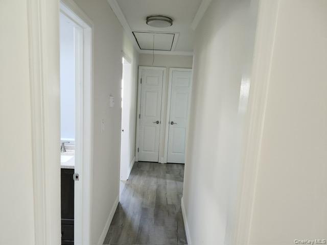 Single Family Morton Street  Suffolk County, NY 11776, MLS-1047237-17