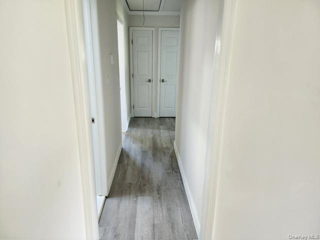 Single Family Morton Street  Suffolk County, NY 11776, MLS-1047237-6