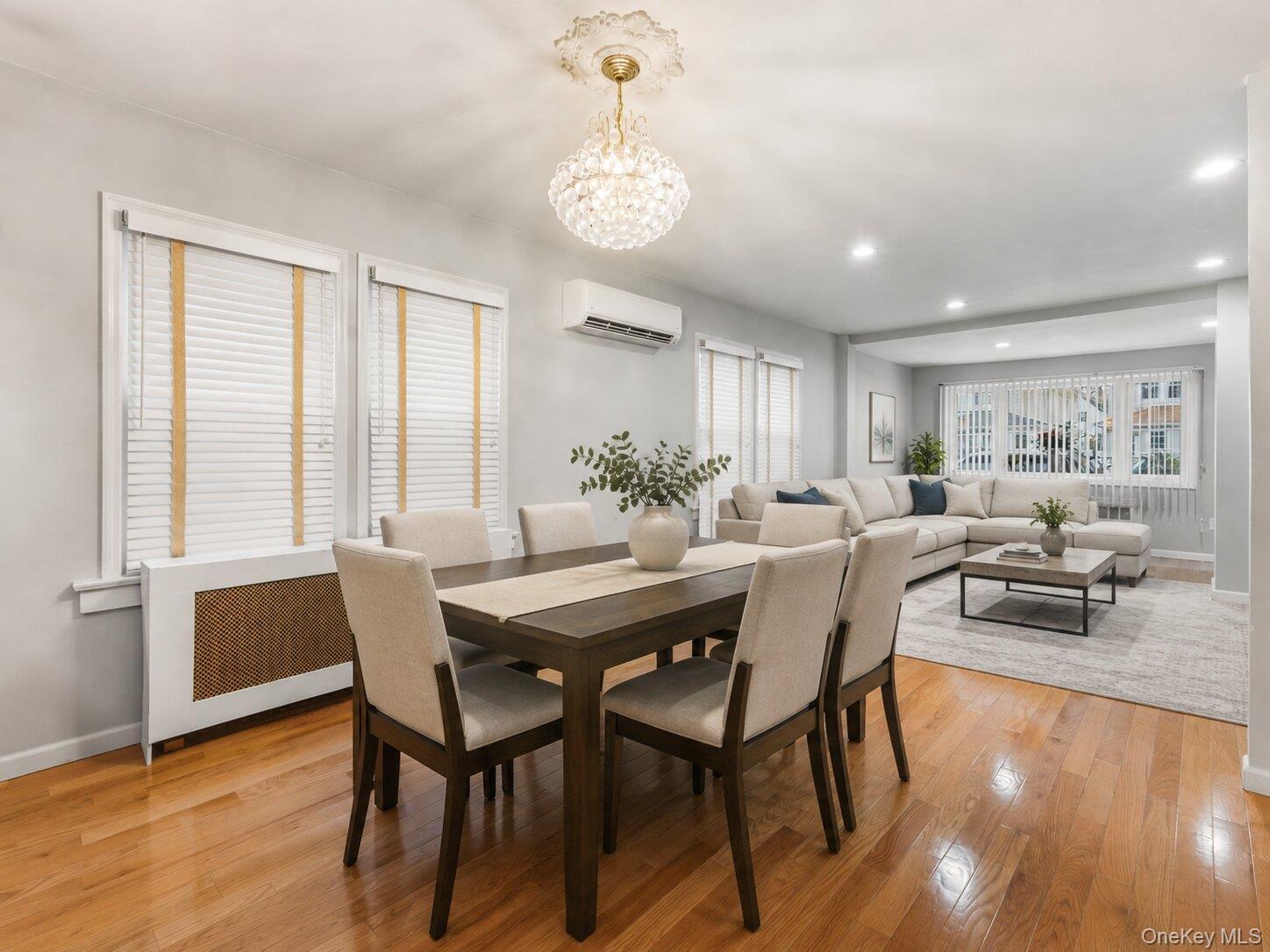 Single Family 121st Street Queens, NY 11420, MLS-1047284-14