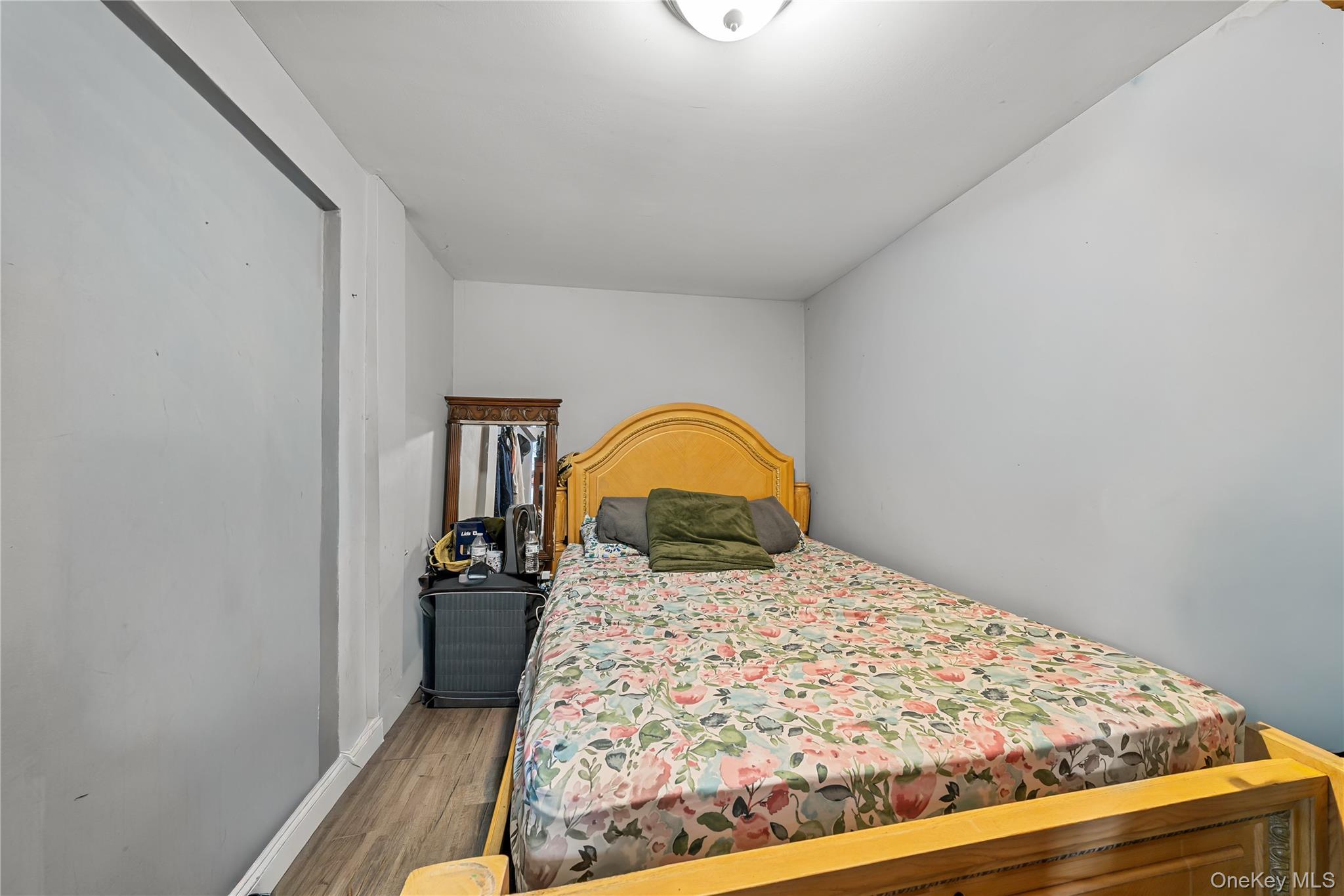 Single Family Bushwick Avenue Suffolk County, NY 11722, MLS-1047295-27
