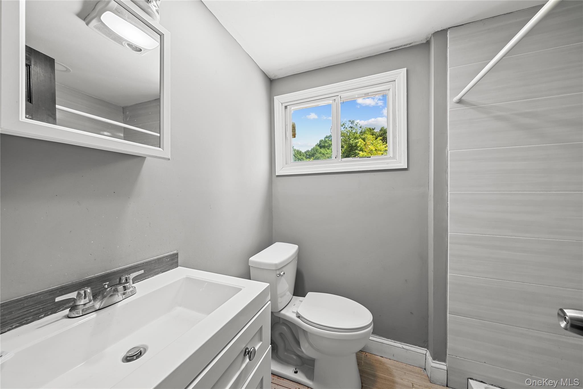 Single Family Bushwick Avenue Suffolk County, NY 11722, MLS-1047295-28
