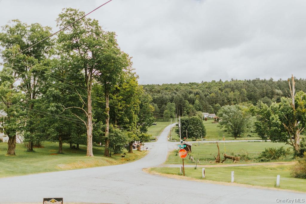 Single Family Skipperene Road  Sullivan County, NY 12726, MLS-1047304-13
