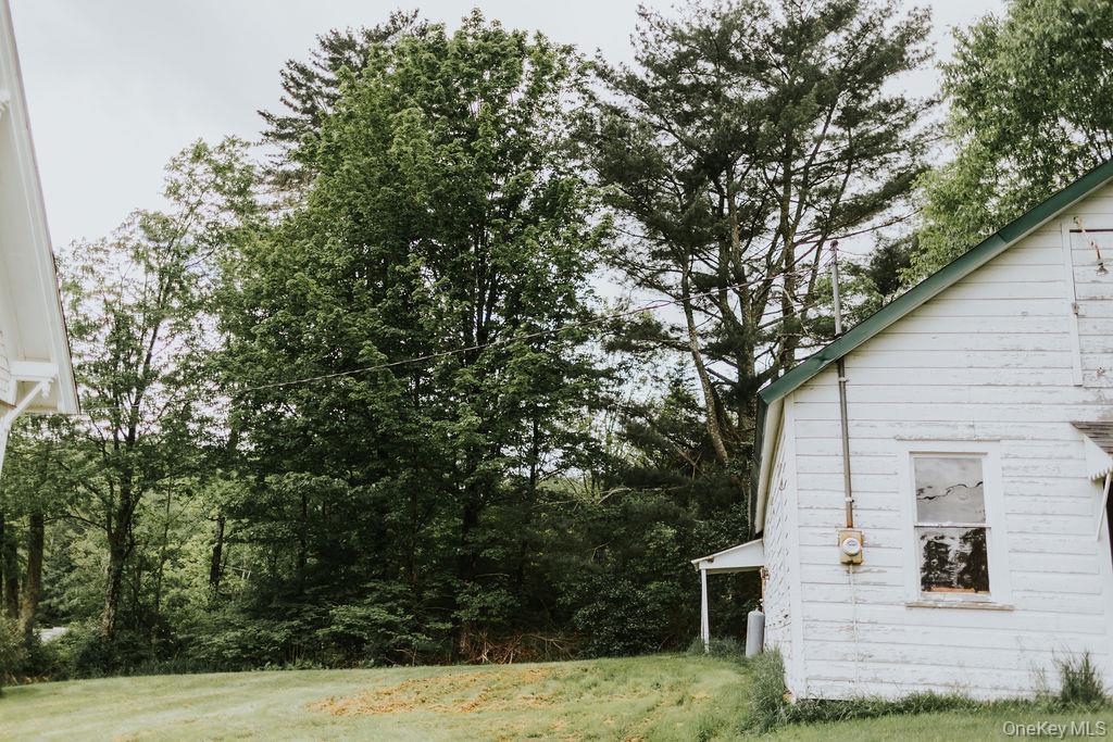Single Family Skipperene Road  Sullivan County, NY 12726, MLS-1047304-23