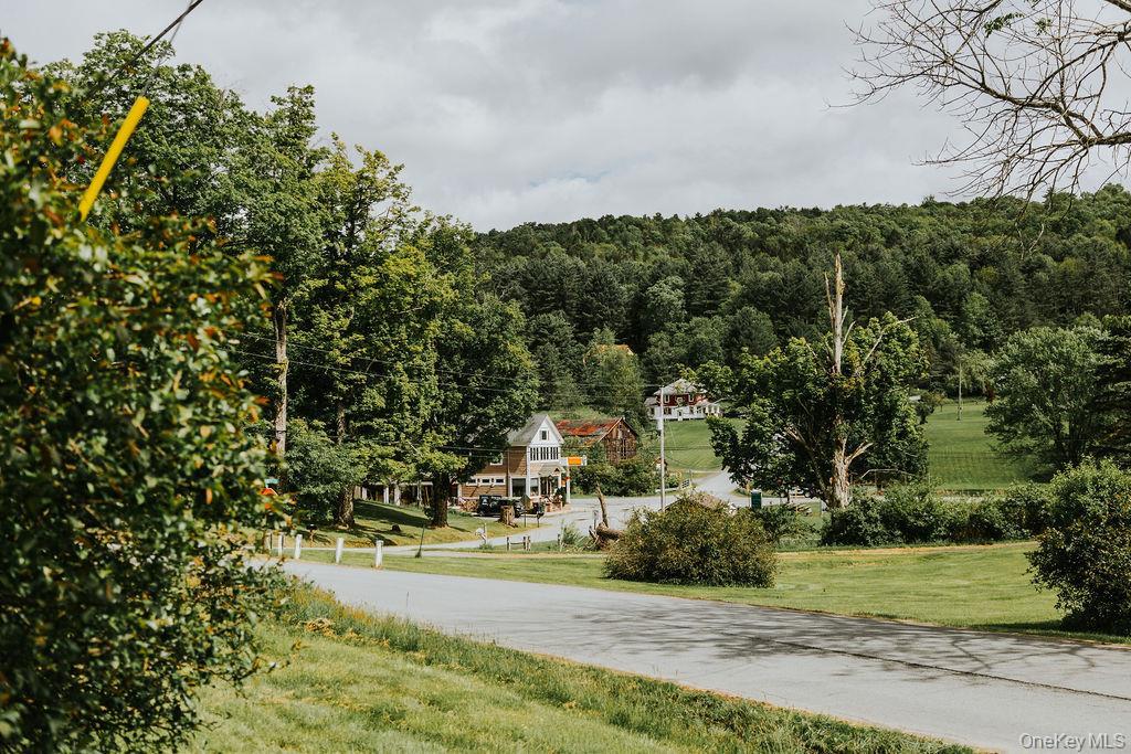Single Family Skipperene Road  Sullivan County, NY 12726, MLS-1047304-44