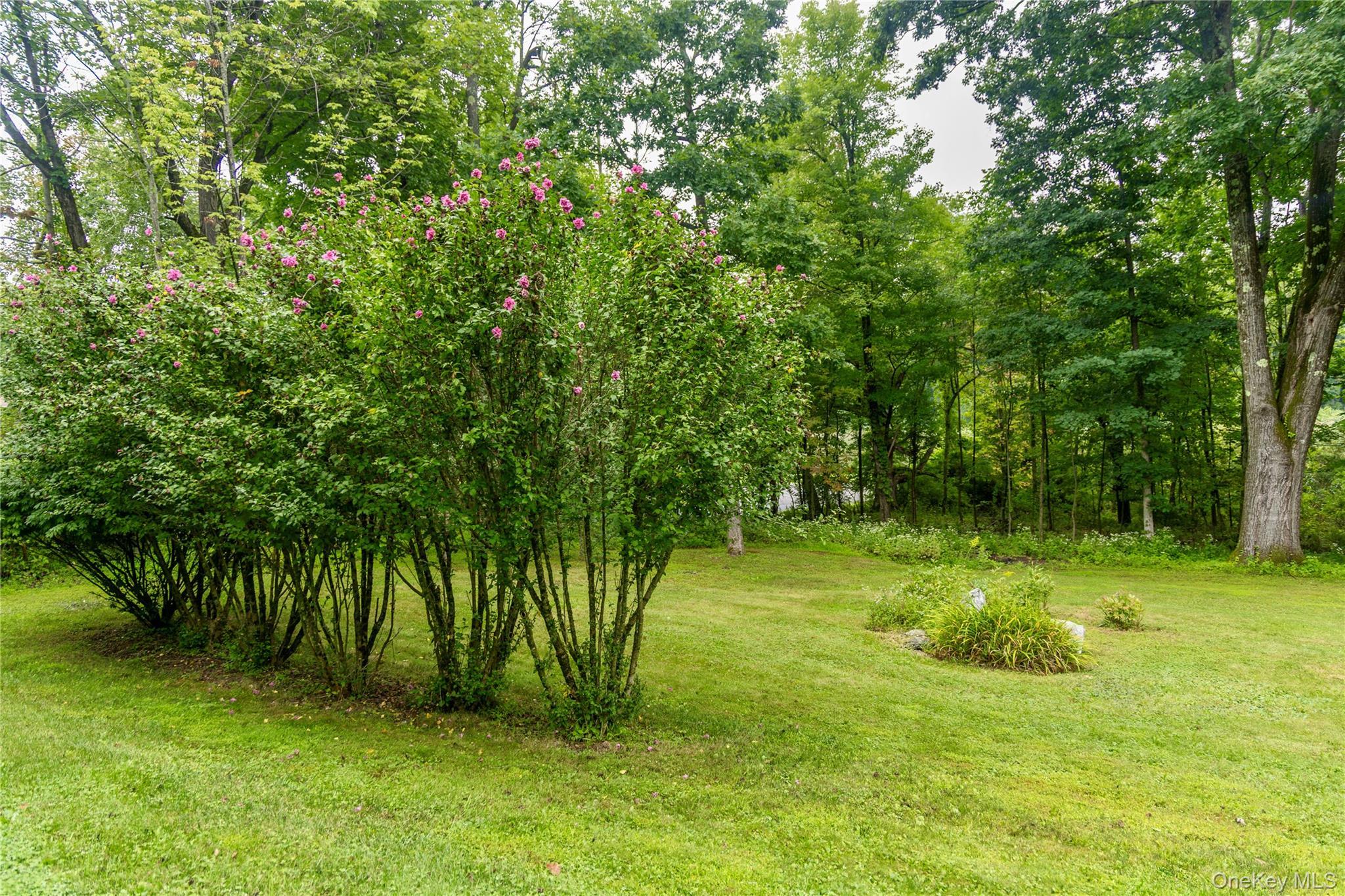 Single Family Briarwood Lane  Dutchess County, NY 12546, MLS-1047331-44