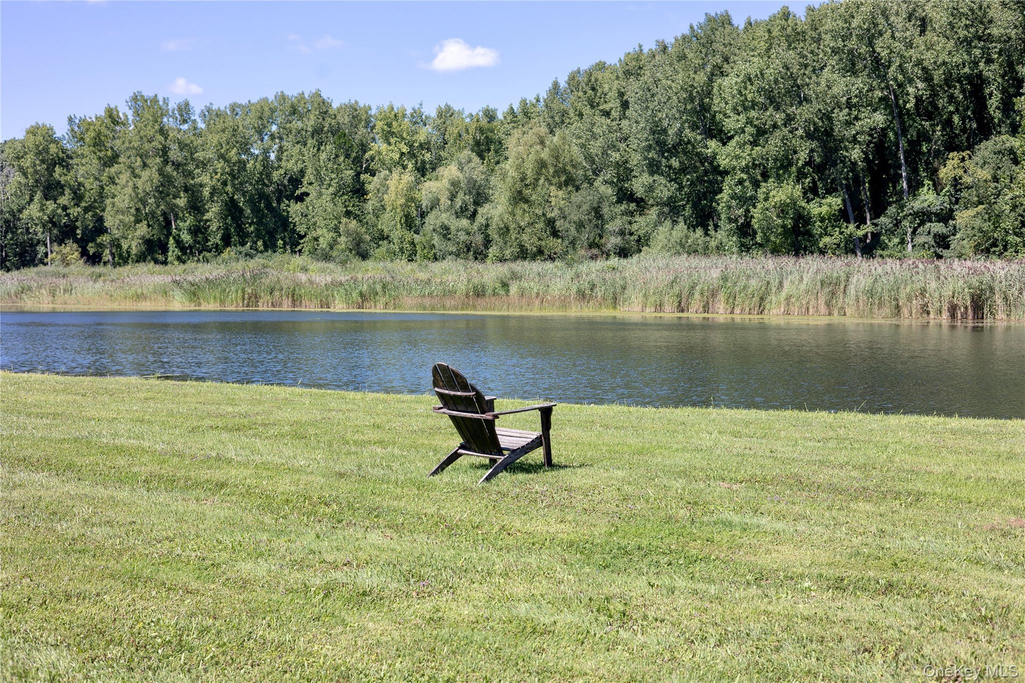 Single Family Briarwood Lane  Dutchess County, NY 12546, MLS-1047331-48