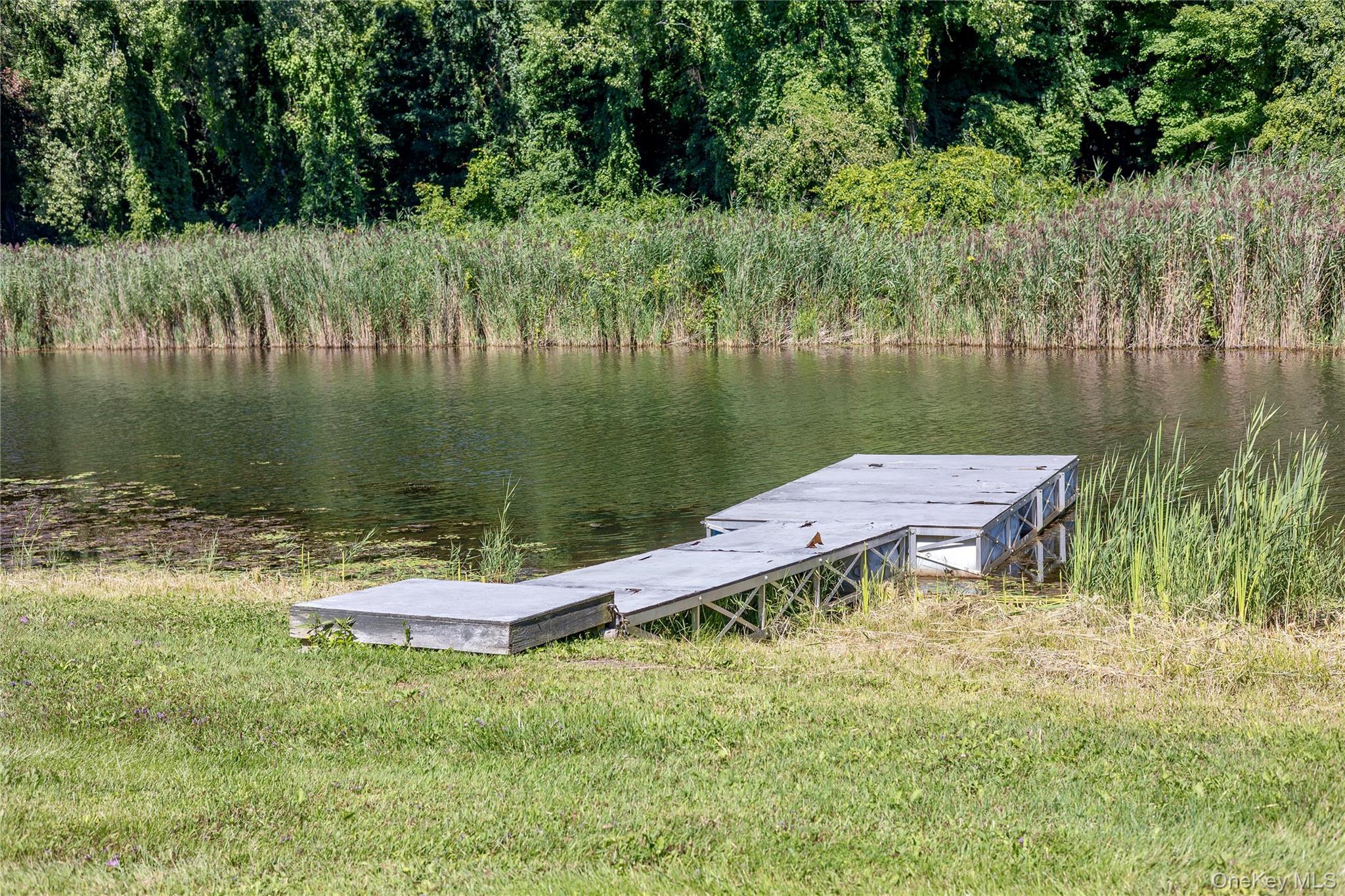Single Family Briarwood Lane  Dutchess County, NY 12546, MLS-1047331-49