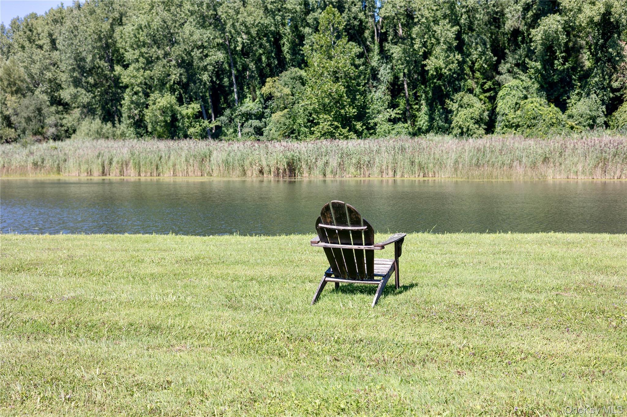 Single Family Briarwood Lane  Dutchess County, NY 12546, MLS-1047331-50