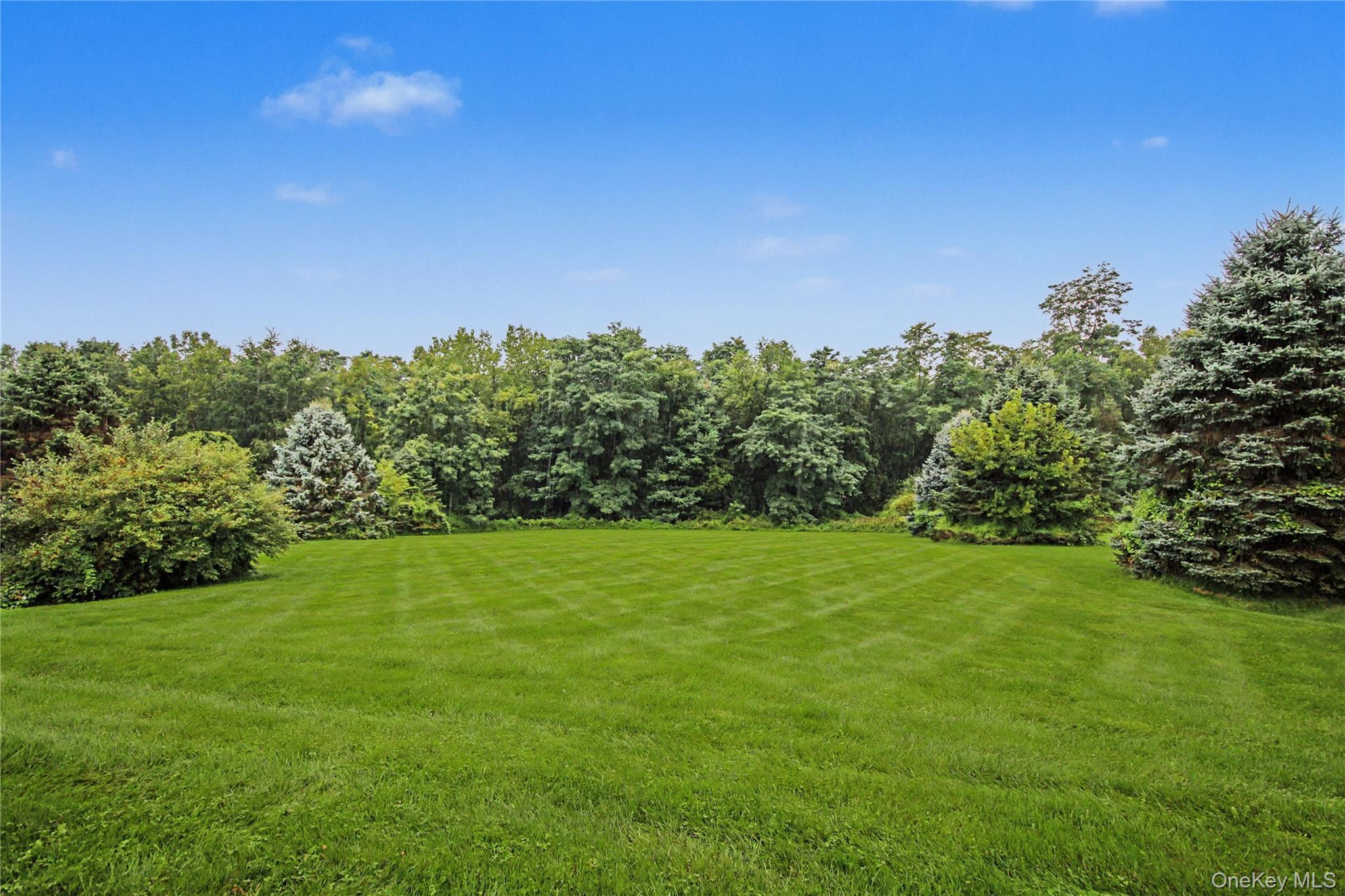 Single Family Mayfair Road Dutchess County, NY 12570, MLS-1047382-49
