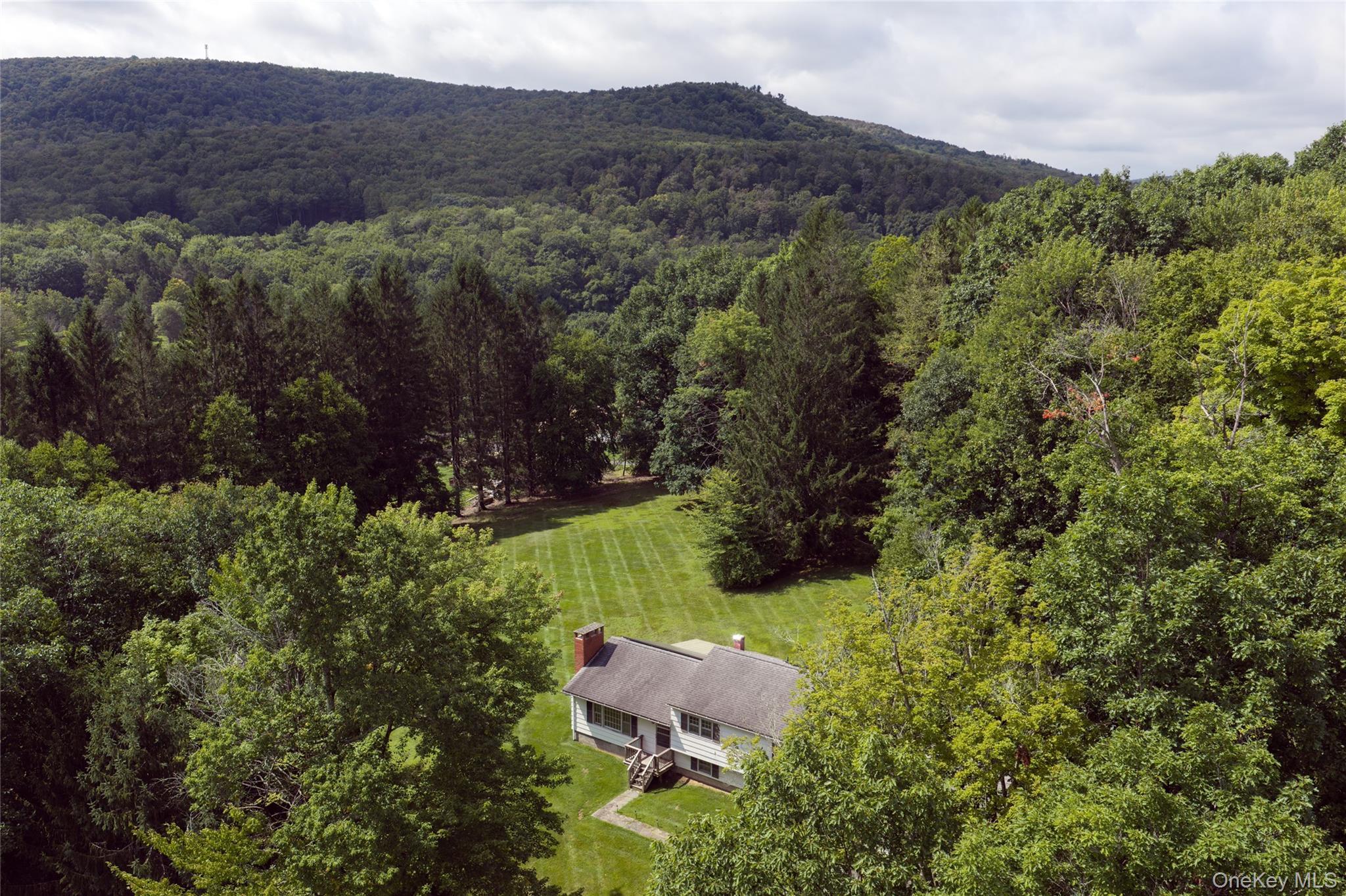 Single Family Denman Mountain Road Sullivan County, NY 12740, MLS-1047404-2