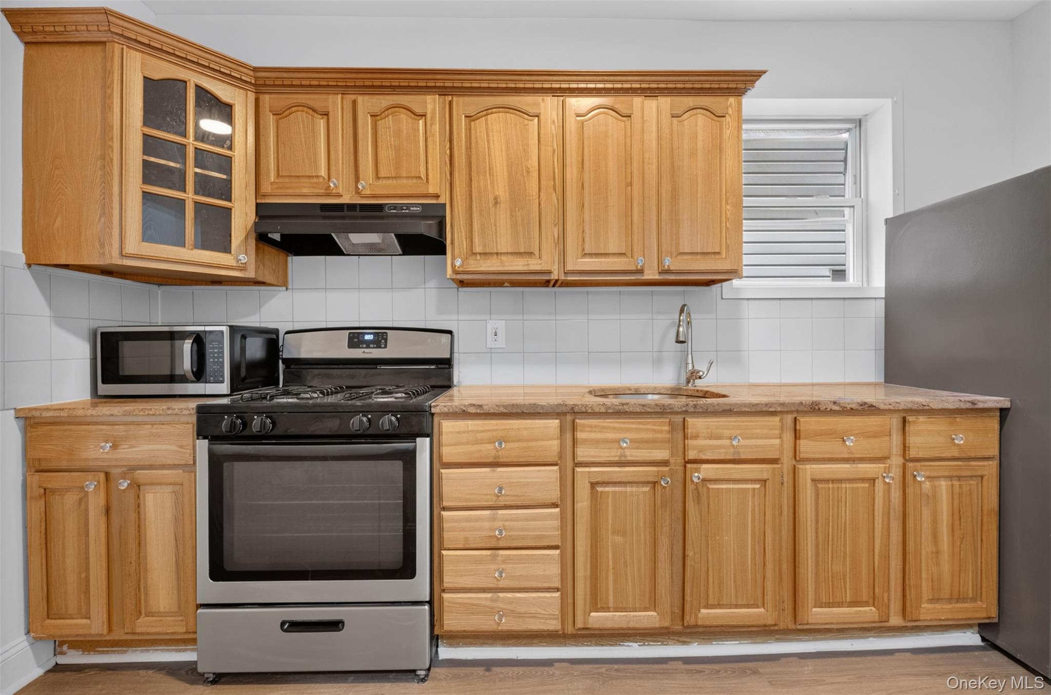 Single Family Schenck Avenue Brooklyn, NY 11207, MLS-1047432-6