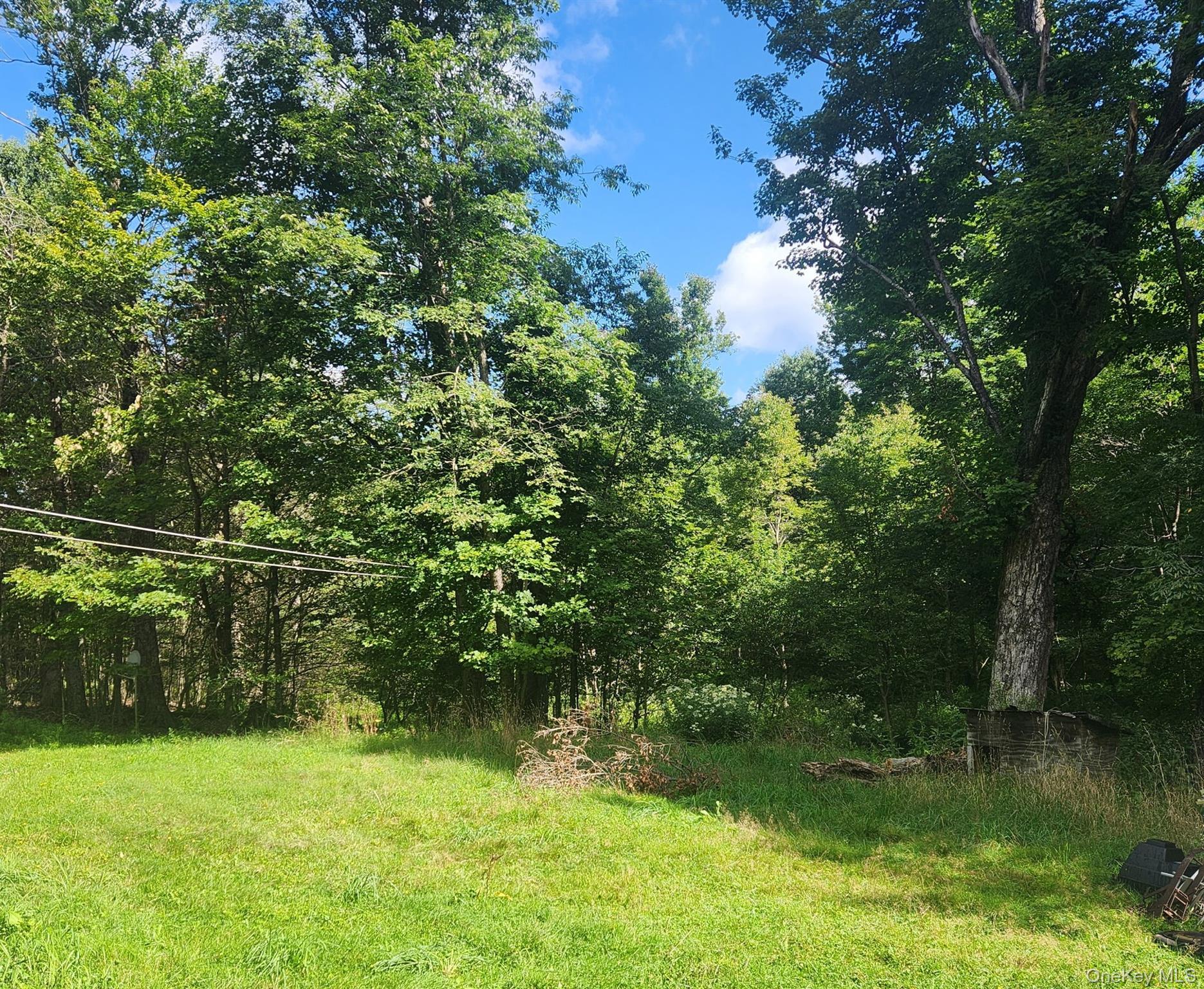 Single Family Aden Hill Road Sullivan County, NY 12768, MLS-1047444-5